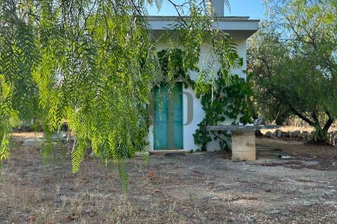 Ruïna a Ostuni, Brindisi, Ostuni - € 43.000 | Ref: Lamia Vite - foto 14
